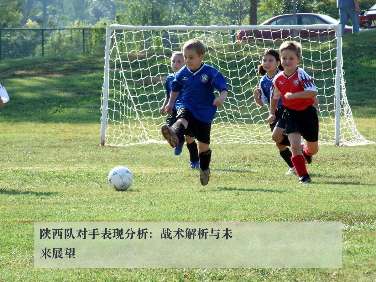 陕西队对手表现分析：战术解析与未来展望